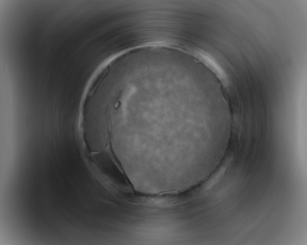 X0000094350948200711162027