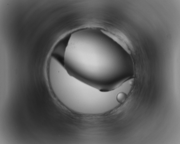 X0000094350950200711162027