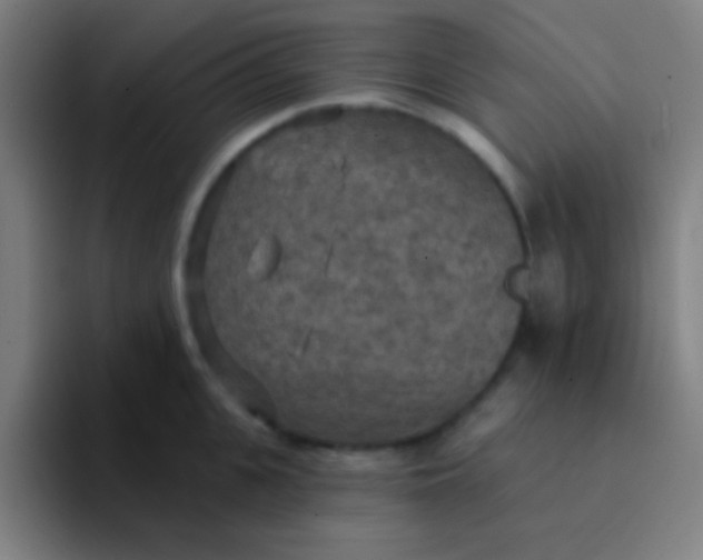 X0000094350951200711162027