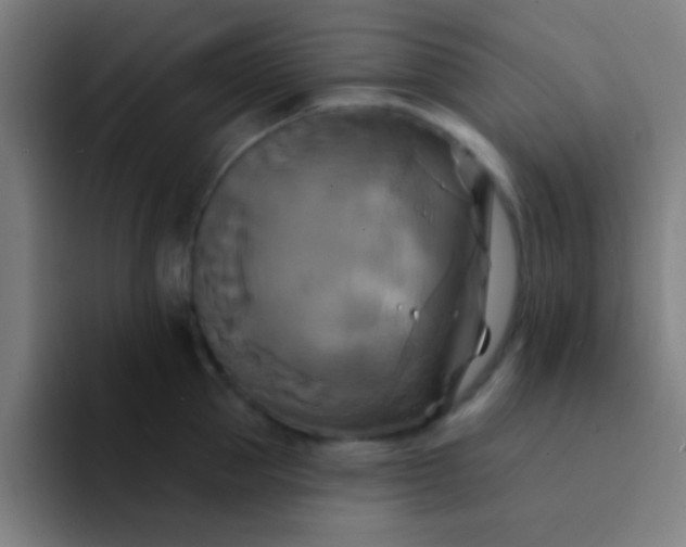 X0000094350953200711162027