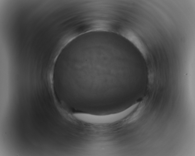 X0000094350954200711162027