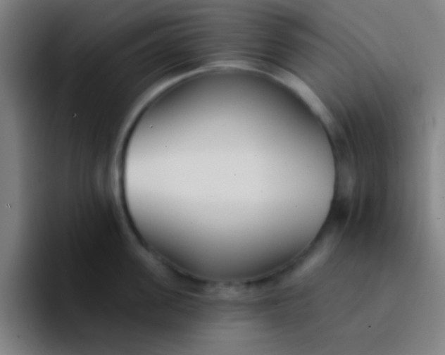 X0000094350955200711162027