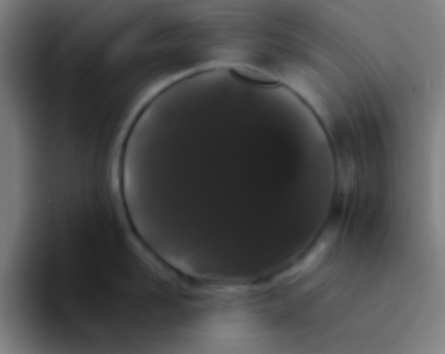 X0000094350958200711162027