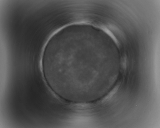 X0000094350959200711162027