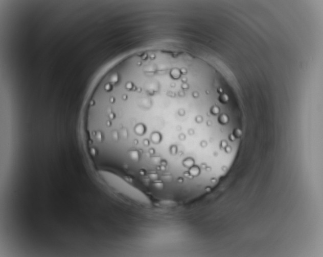 X0000094350960200711162027