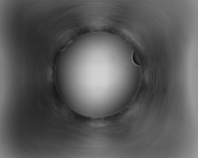 X0000094350964200711162027