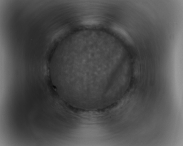 X0000094350966200711162026