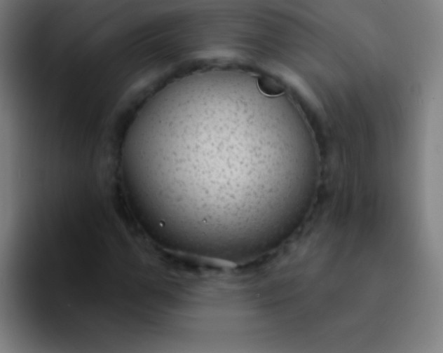 X0000094350967200711162026