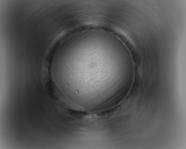 X0000094350968200711162026