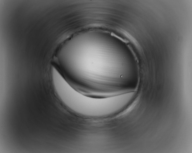 X0000094350969200711162026