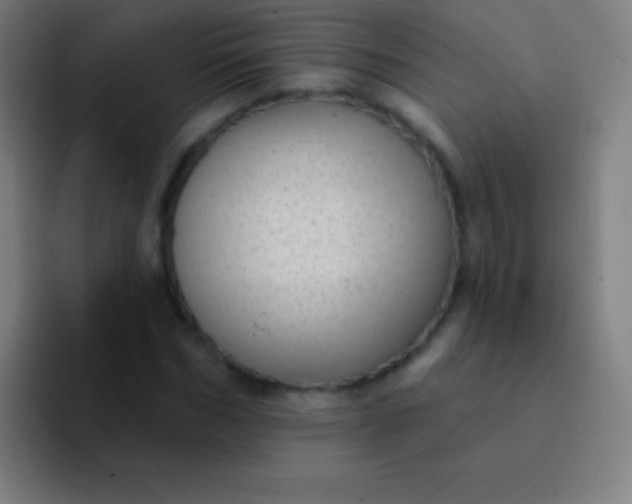 X0000094350970200711162026