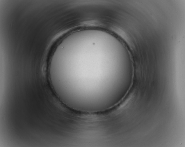 X0000094350971200711162026