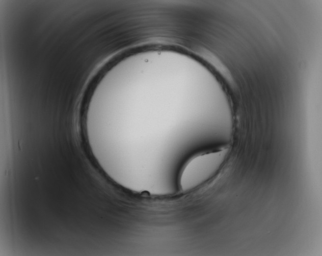 X0000094350972200711162026