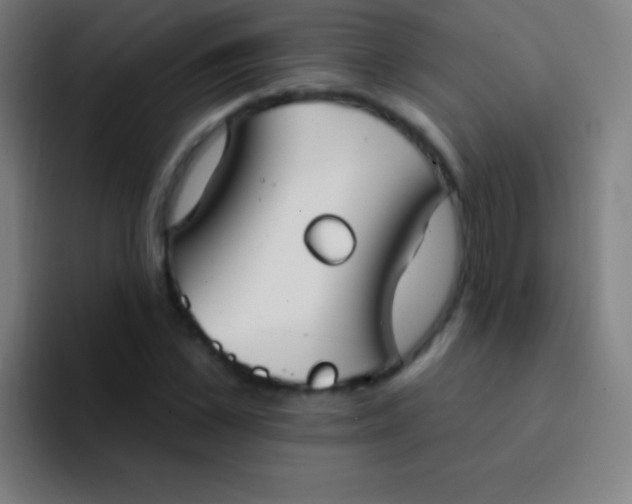 X0000094350973200711162026