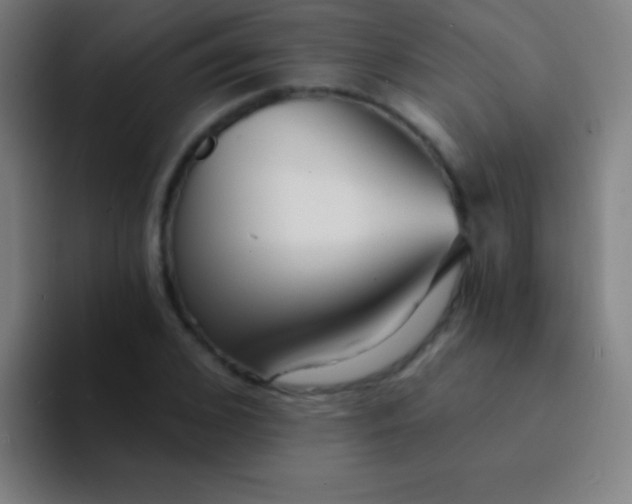 X0000094350976200711162026