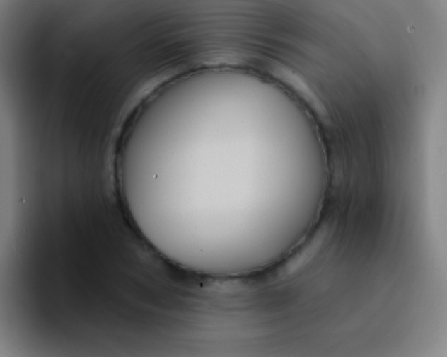 X0000094350978200711162026