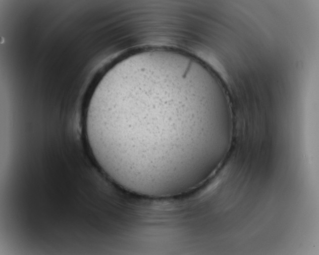 X0000094350979200711162026