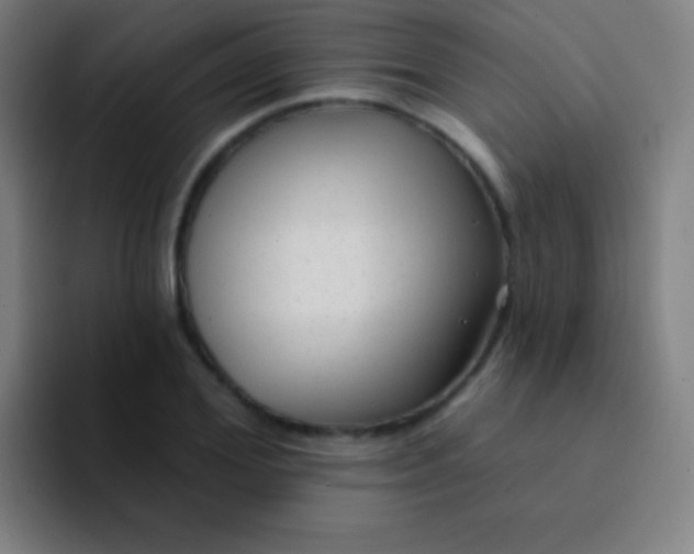 X0000094350980200711162026