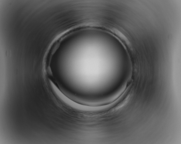 X0000094350981200711162026