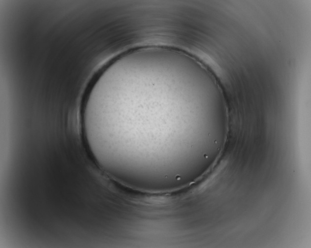 X0000094350982200711162026