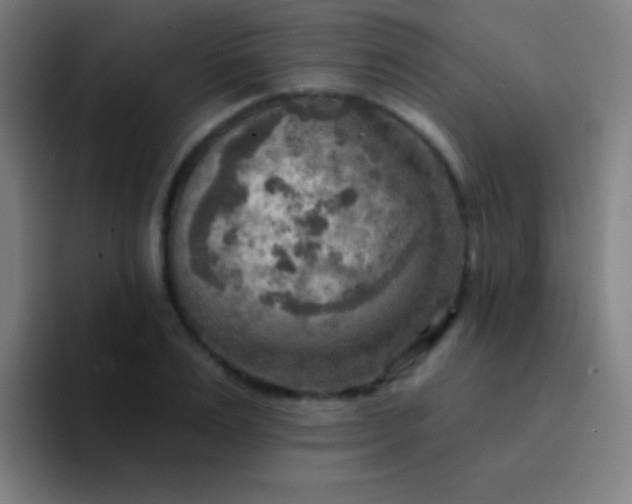 X0000094350983200711162026