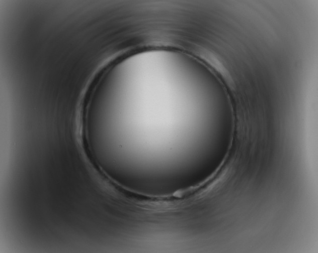 X0000094350984200711162026