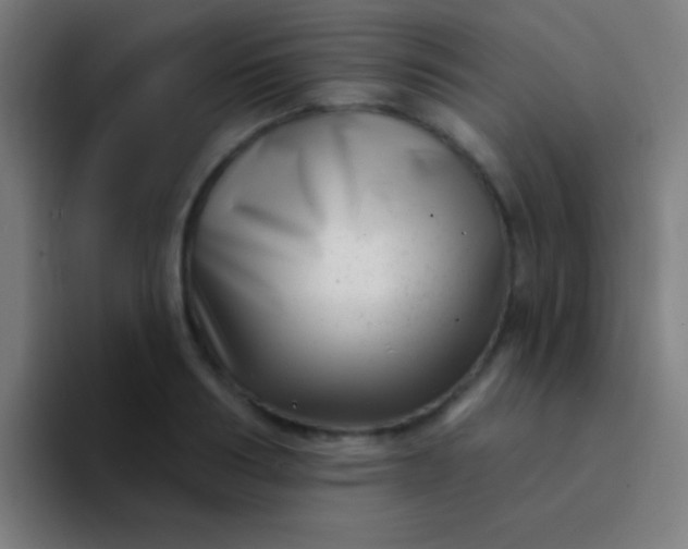 X0000094350986200711162026