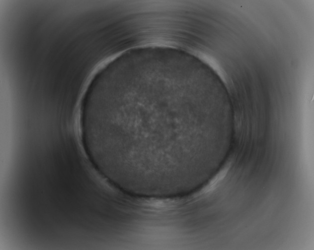 X0000094350987200711162026