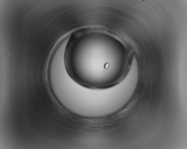 X0000094350988200711162026