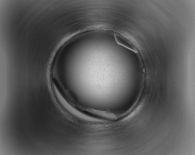 X0000094350989200711162026