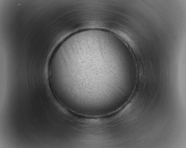 X0000094350990200711162026