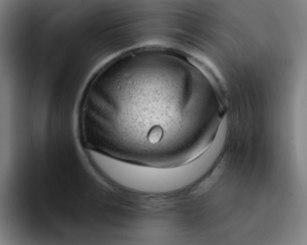 X0000094350991200711162026