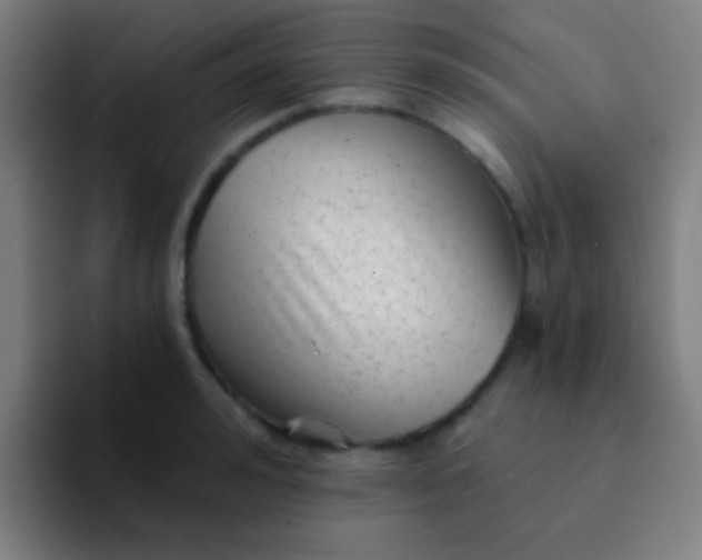 X0000094350992200711162026