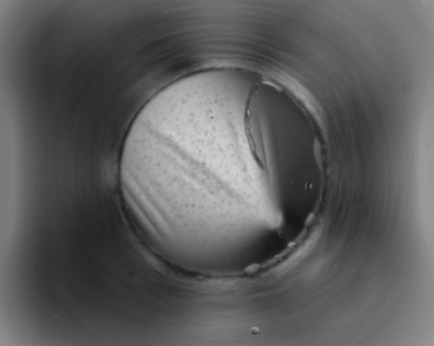 X0000094350993200711162026