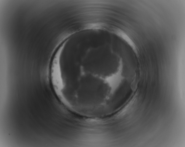 X0000094350994200711162026