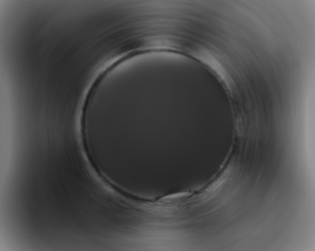 X0000094350995200711162026