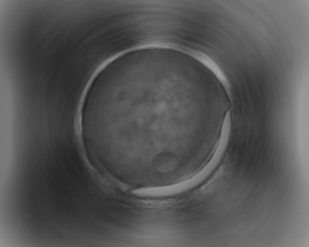 X0000094350996200711162026