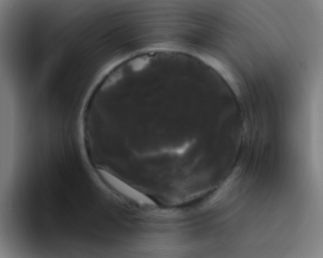 X0000094350998200711162026