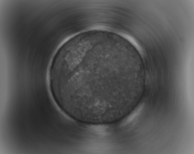 X0000094350999200711162026