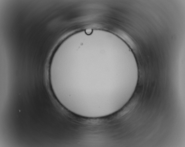 X0000094351000200711162026