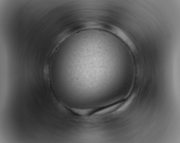 X0000094351001200711162026