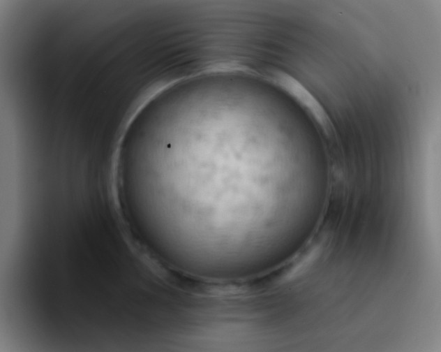 X0000094351002200711162026