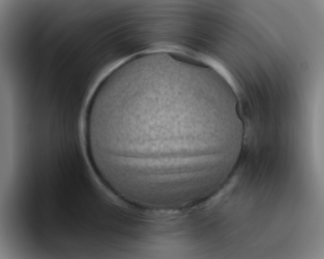 X0000094351003200711162026