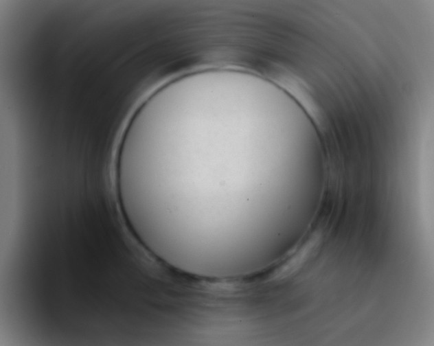 X0000094351004200711162026