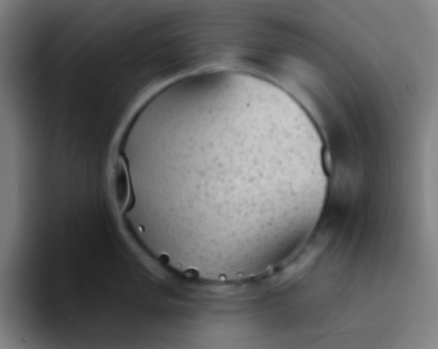 X0000094351005200711162026