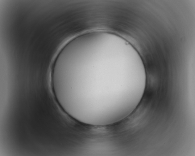 X0000094351006200711162026