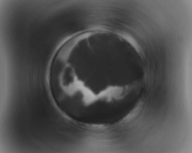 X0000094351007200711162026