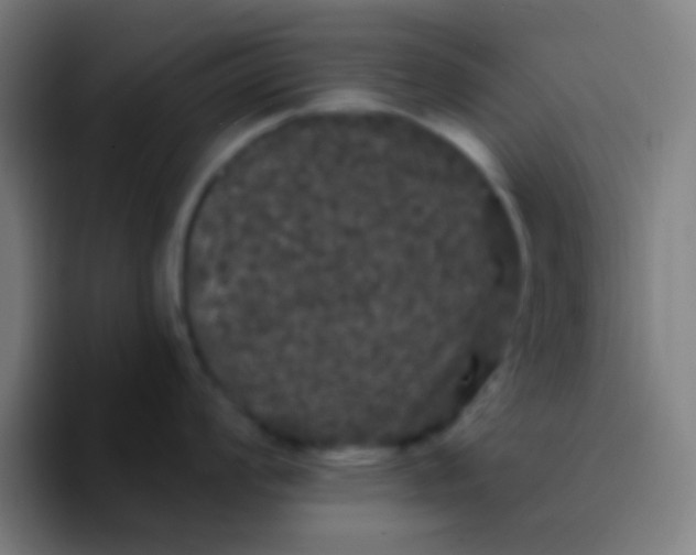 X0000094351008200711162026