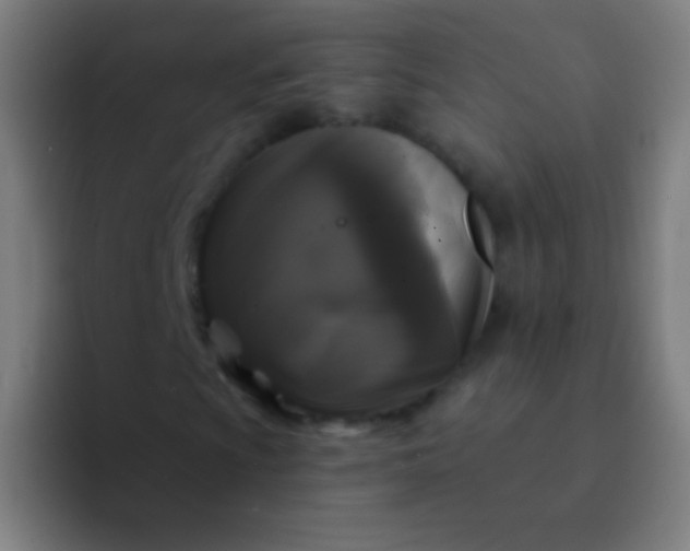 X0000094351009200711162025