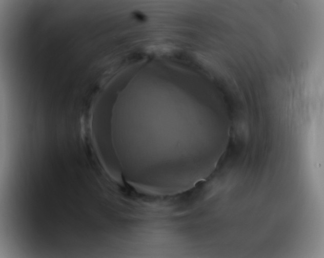 X0000094351010200711162025